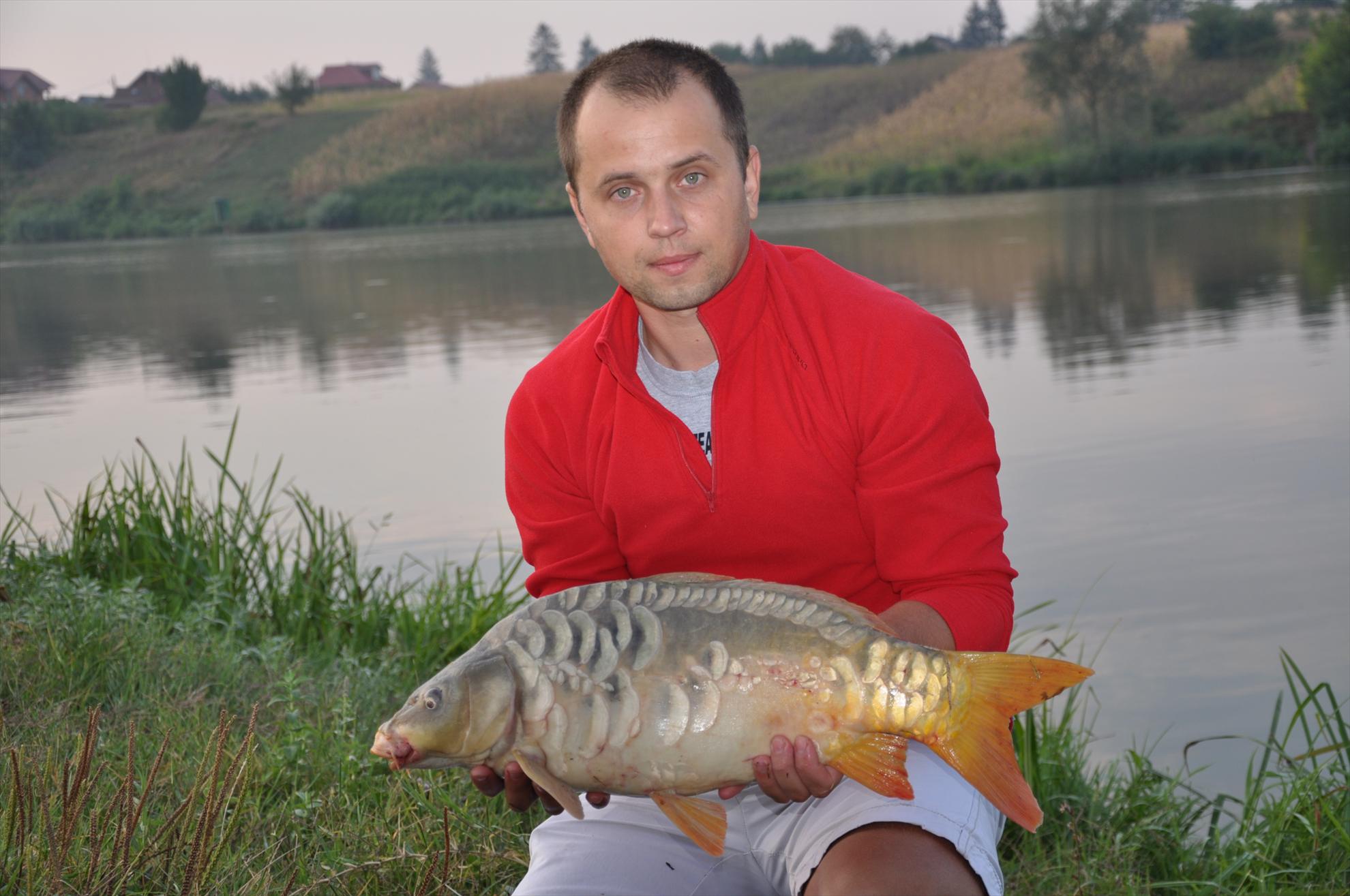 Partide 2010 - 2012 - dsc0115.JPG